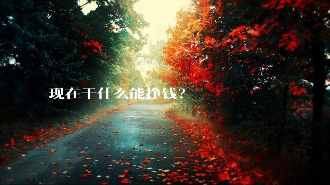 现在干什么能挣钱？