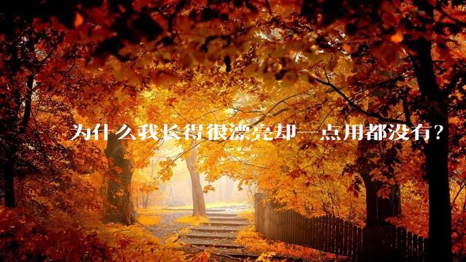 为什么我长得很漂亮却一点用都没有？