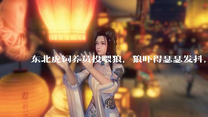 东北虎饲养员投喂狼，狼吓得瑟瑟发抖，真的是「血脉压制」吗？可能是哪些原因造成的？